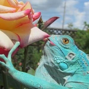 Meet your Posher, Isabella